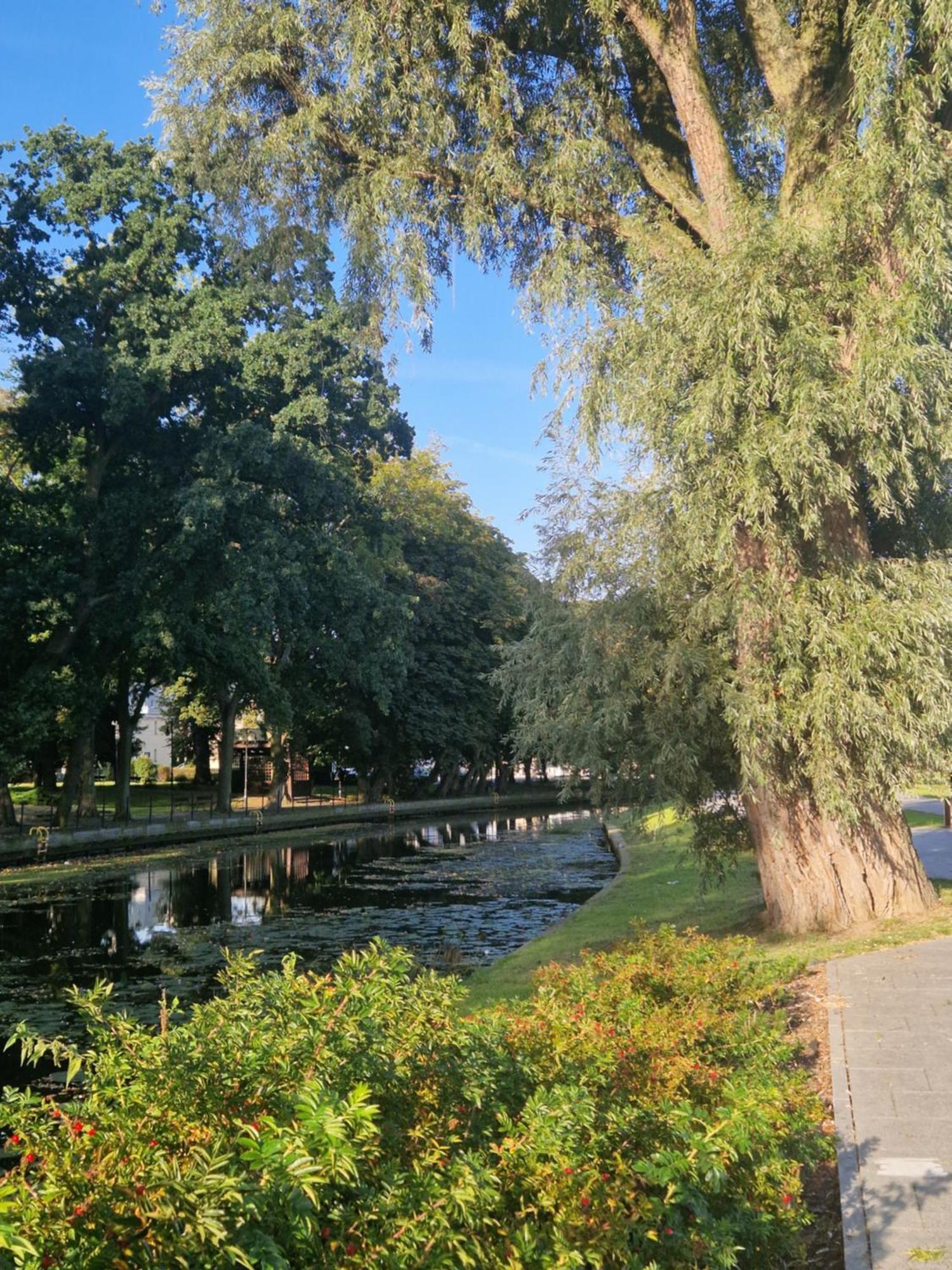 Nowodworski *